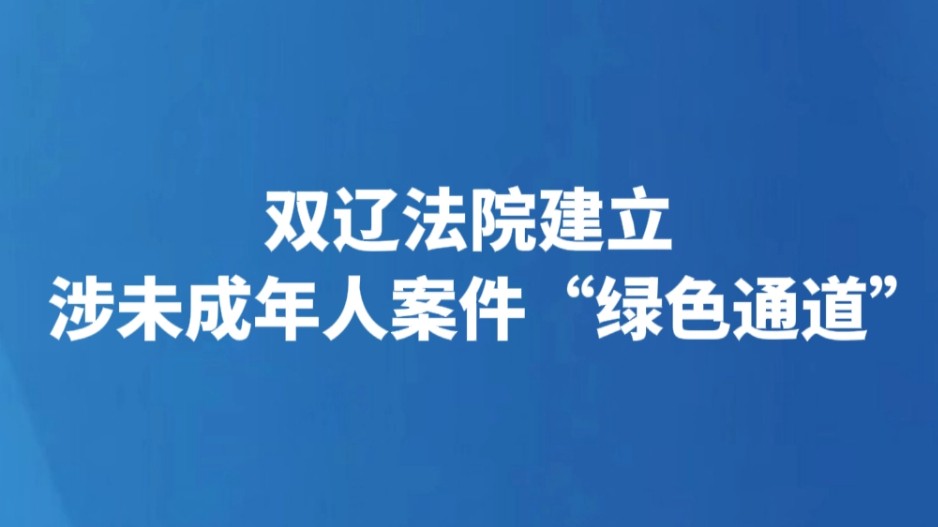 双辽法院建立涉未成年人案件“绿色通道”