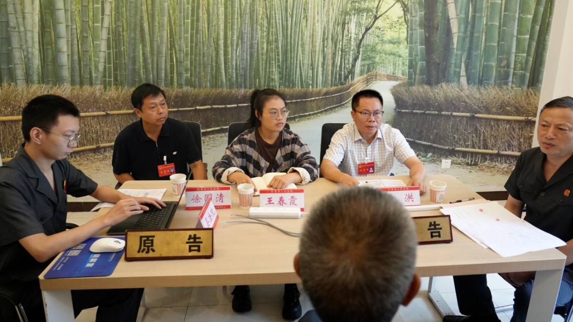 人大代表进法庭 参与“家门口的调解”