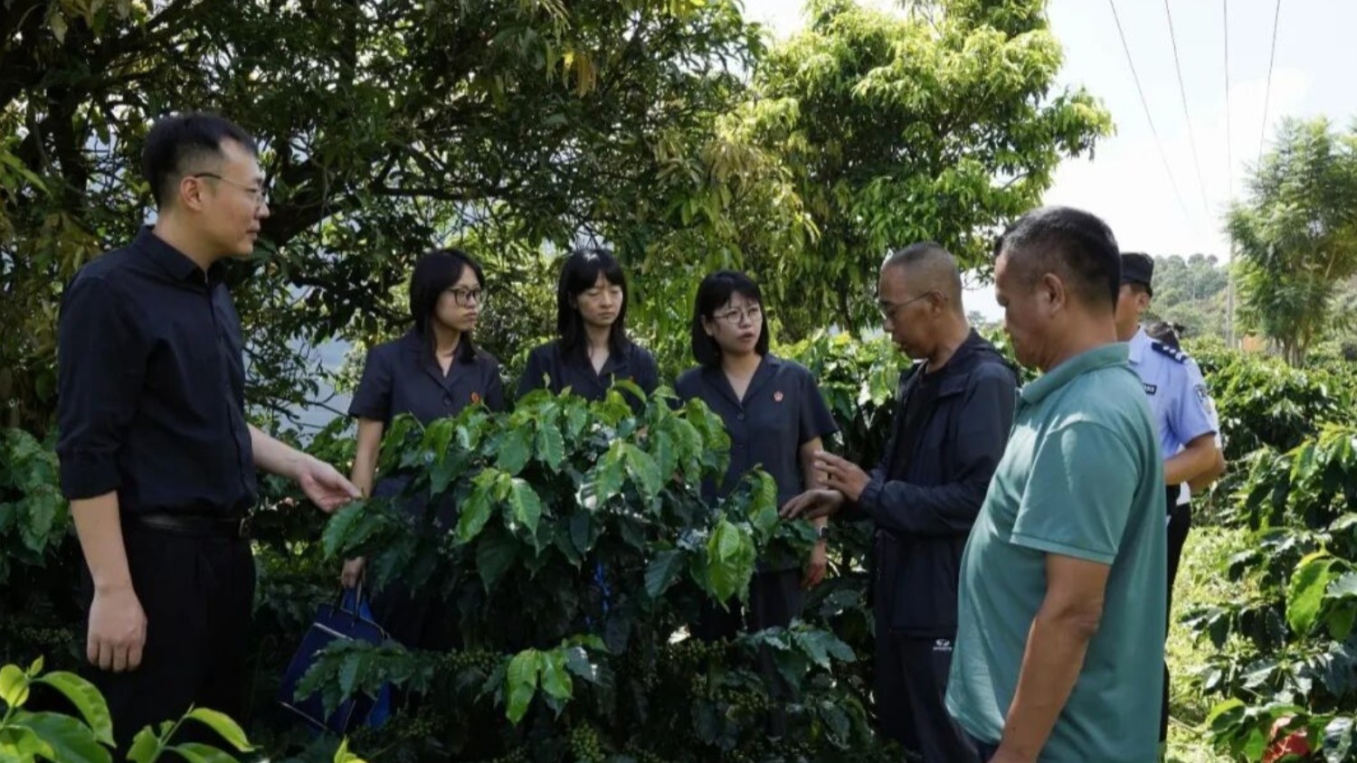 咖啡地里的“法律课”——临翔法院送法进咖啡庄园