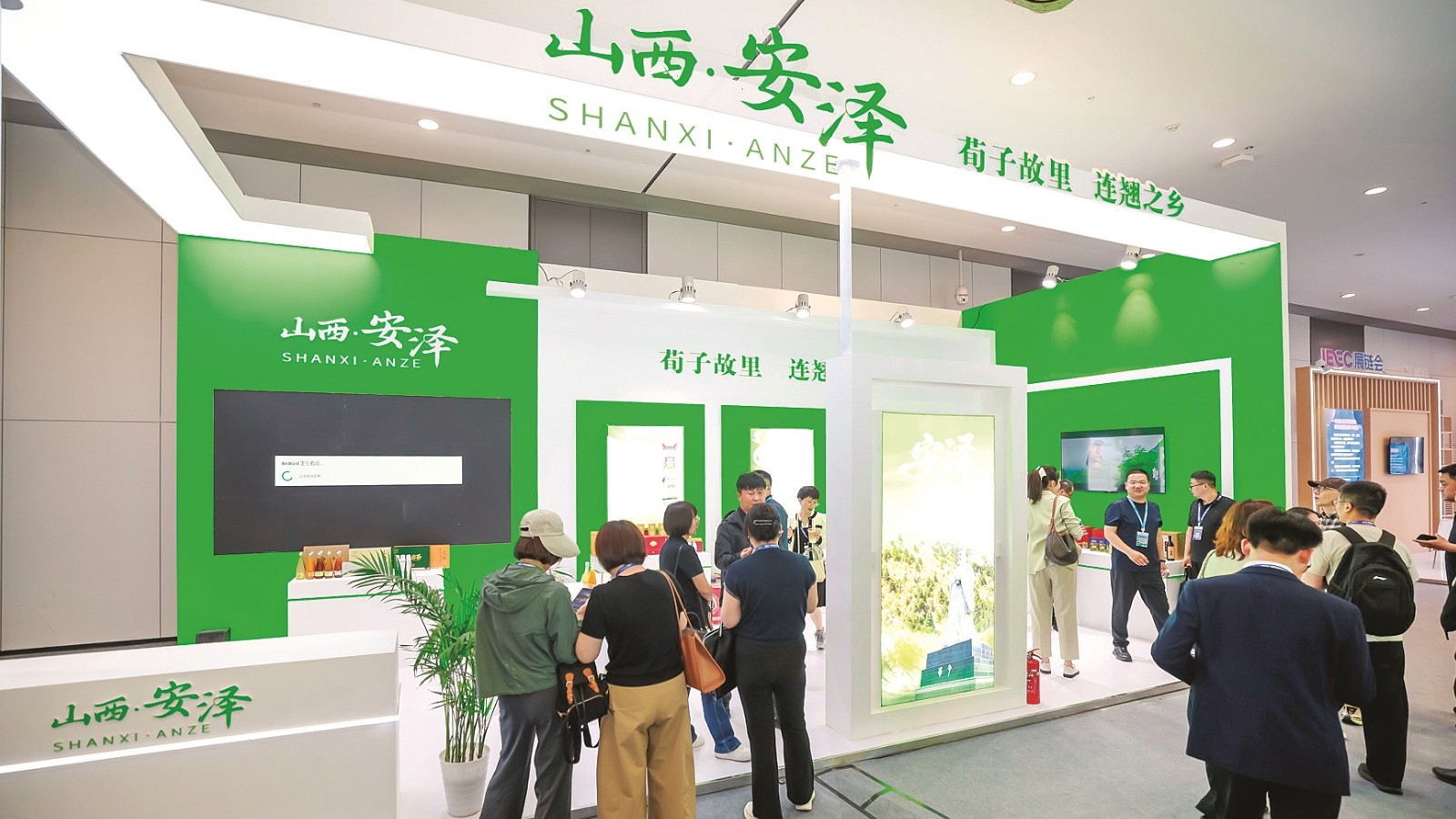 安泽连翘：良药出太岳 盛名传四方