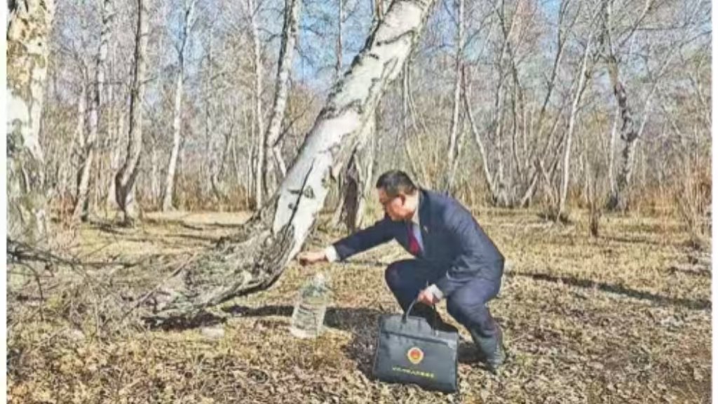 新疆哈巴河：以检察公益诉讼筑牢白桦林保护生态防线