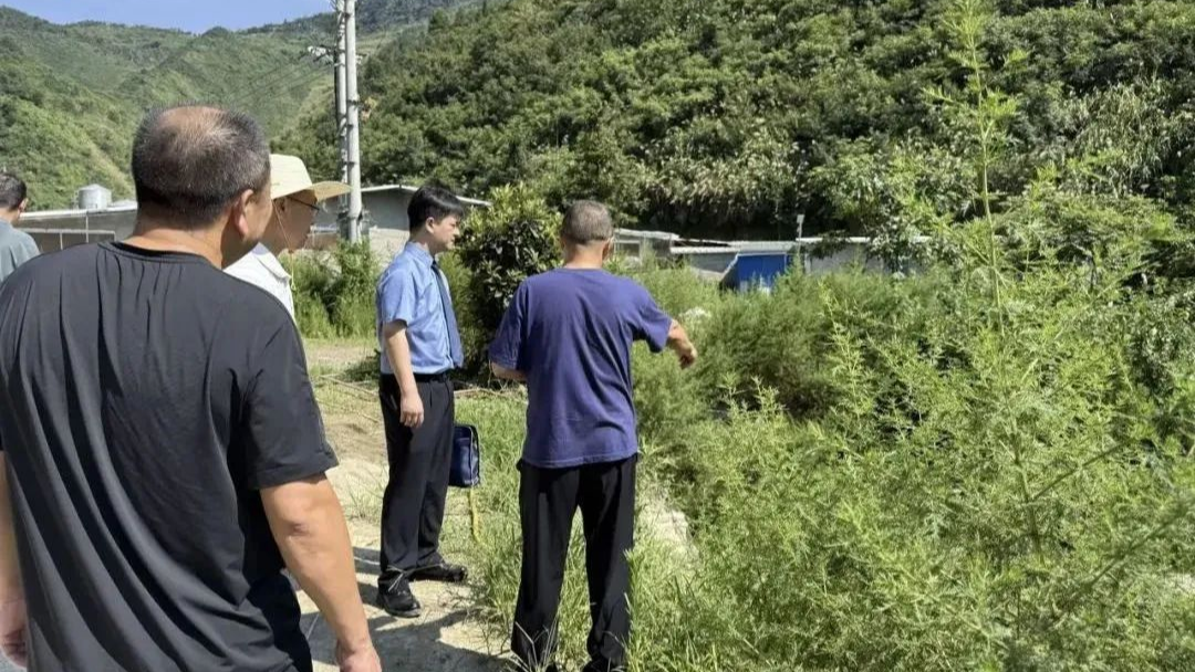 湖北通山县检察公益诉讼守护绿水青山