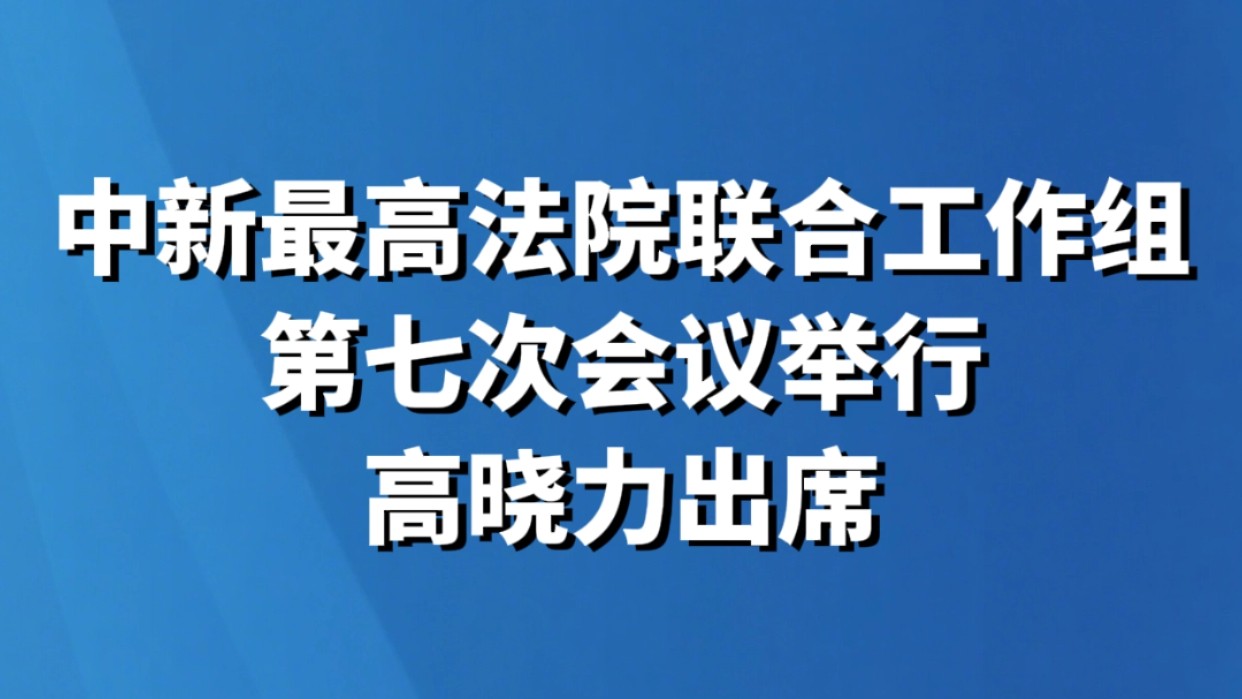 中新最高法院联合工作组第七次会议举行 高晓力出席