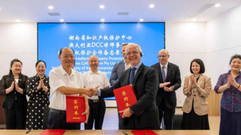 多方联动涉外知识产权保护交流 为湖南企业出海保驾护航