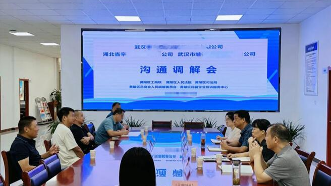 打好“组合拳”源头解纠纷  武汉黄陂盘活资源赋能综治中心提质增效