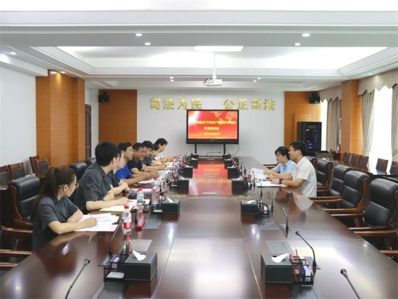 海南自由贸易港知识产权法院到儋州法院调研