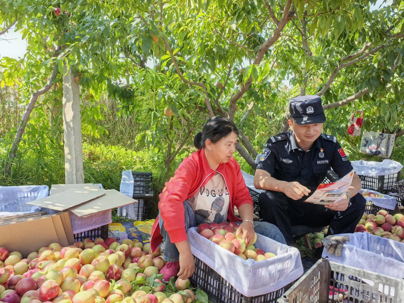 新疆出入境边防检查总站伊犁边境管理支队：田间助农忙，地头普法暖