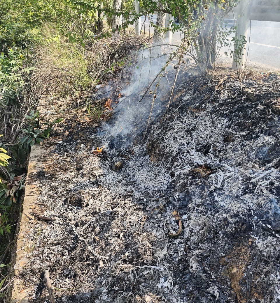 浙江永康：绿化带现火情 PTU队员化身“灭火先锋”速排险