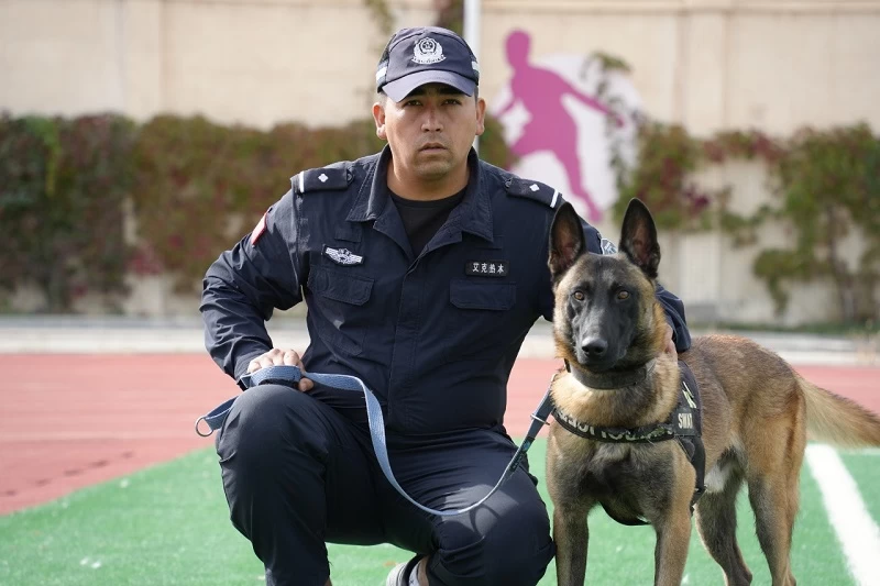 新疆焉耆回族自治县公安局：警犬迎来一场超燃的“期末大考”！