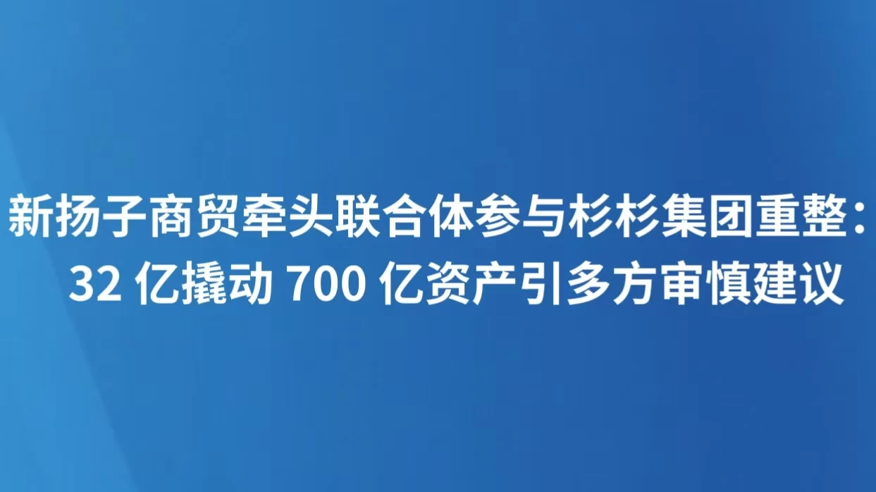新扬子商贸牵头联合体参与杉杉集团重整： 32亿撬动700亿资产引多方审慎建议