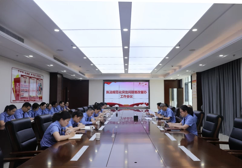 湖北省沙市区检察院组织召开执法规范化突出问题整改督办工作会