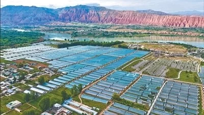 “搞成了半拉子工程”，困局怎样扭转