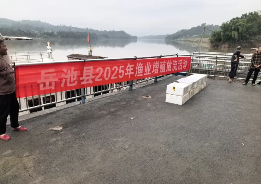 四川岳池县2025年渔业增殖放流启动：5种土著鱼苗入渠江  退捕渔民参与护生态