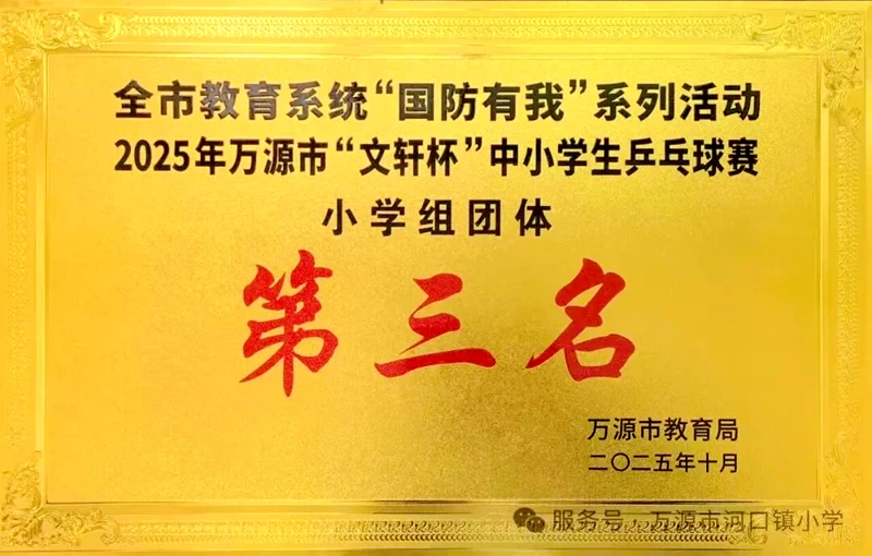四川省万源市河口镇小学在市球类比赛中斩获佳绩