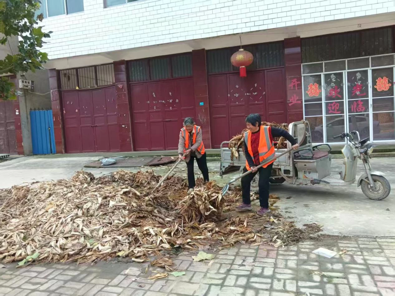 河南省商丘市虞城县张集镇秸秆及生活垃圾集中整治重实效