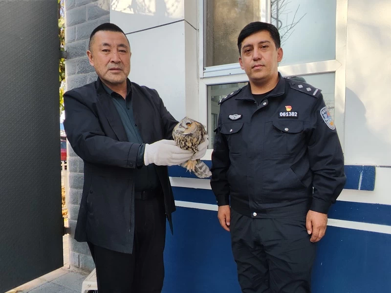 新疆伊宁市公安局：警民携手连续救助多只国家二级保护动物