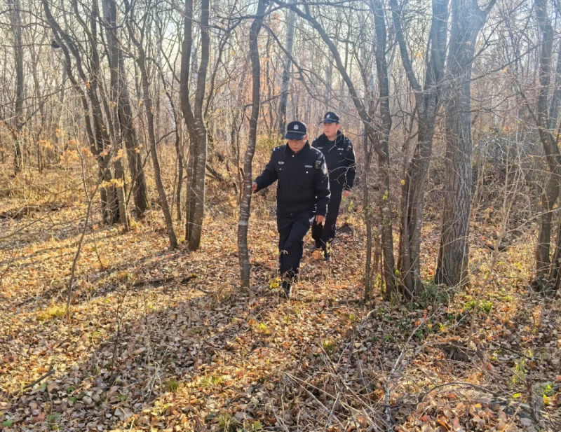 黑龙江省林区公安局桦南分局：用“脚底板”践行巡山清套 以“实举措”守护林海安宁