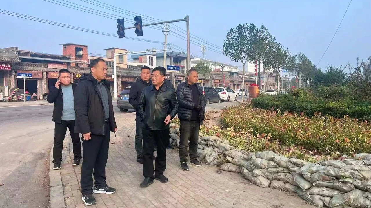 河南省汝阳县蔡店乡集镇建设绘就宜居新图景