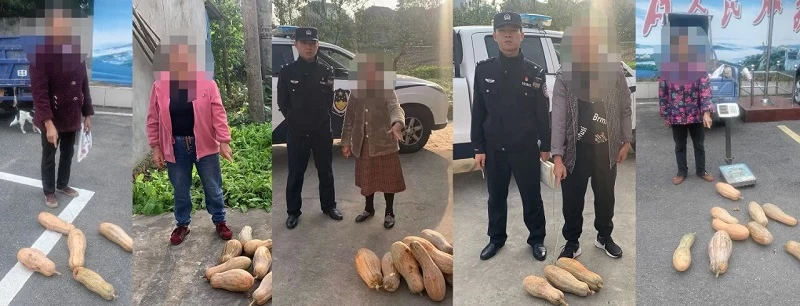 湖北省松滋市王家桥派出所快速侦破两起盗窃案件