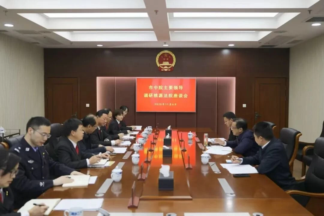 湖南省常德市中级人民法院党组书记、代院长柏广衡在桃源调研：忠诚履职、担当作为，在推动高质量发展新征程上奋勇争先