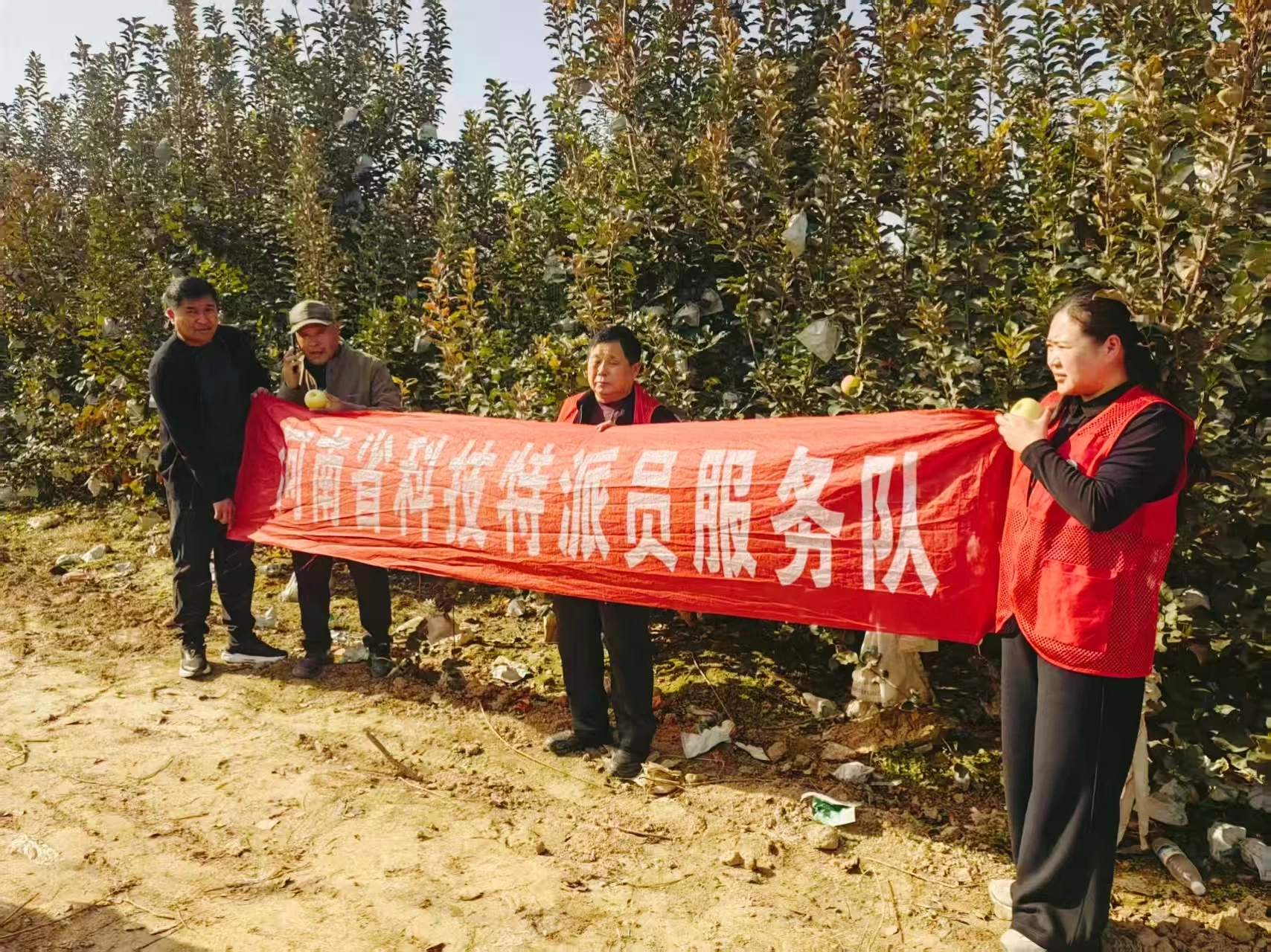 科技赋能果业升级 “瑞雪”苹果引领乡村振兴新路径——河南省商丘市虞城县成功举办“瑞雪”苹果新品种现场观摩品鉴会
