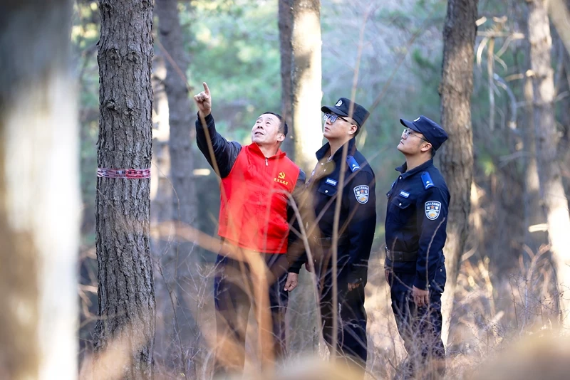 山西阳城公安：深耕“生态警务” 守护绿水青山