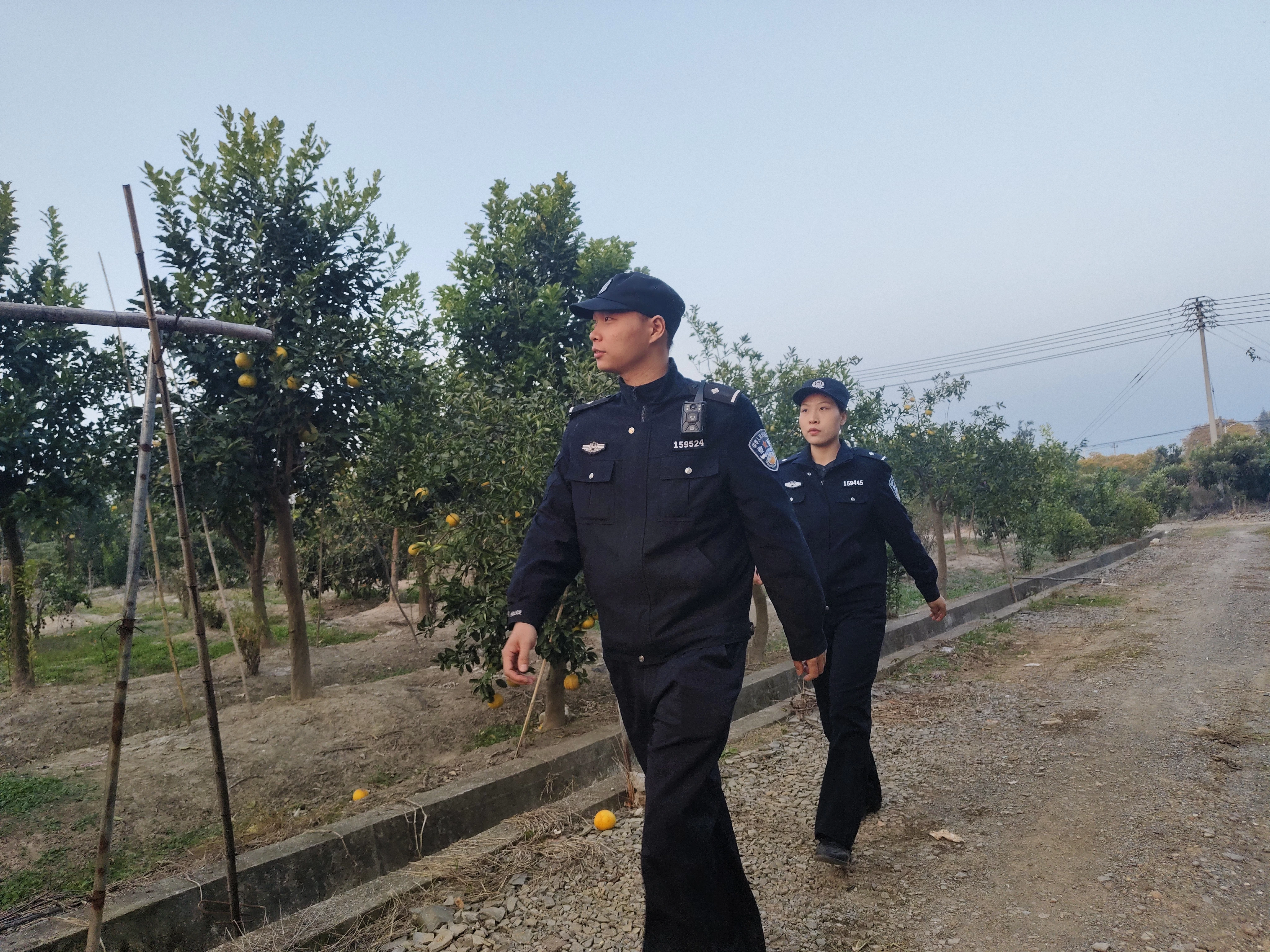 浙江省兰溪市公安局香溪派出所：警务护航让香溪“桔”满枝、绿满仓