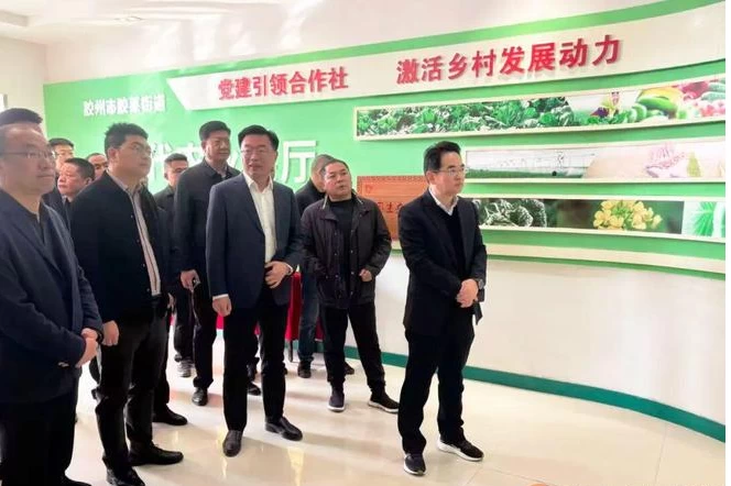湖南省汉寿县委书记赴合肥青岛开展招商，对接前沿产业推动合作发展