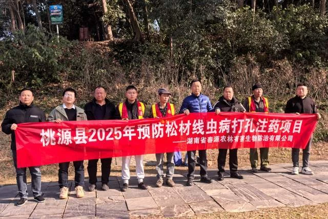 为生态“上保险” 湖南省桃源县为7000余株重点松木注射“免疫针”