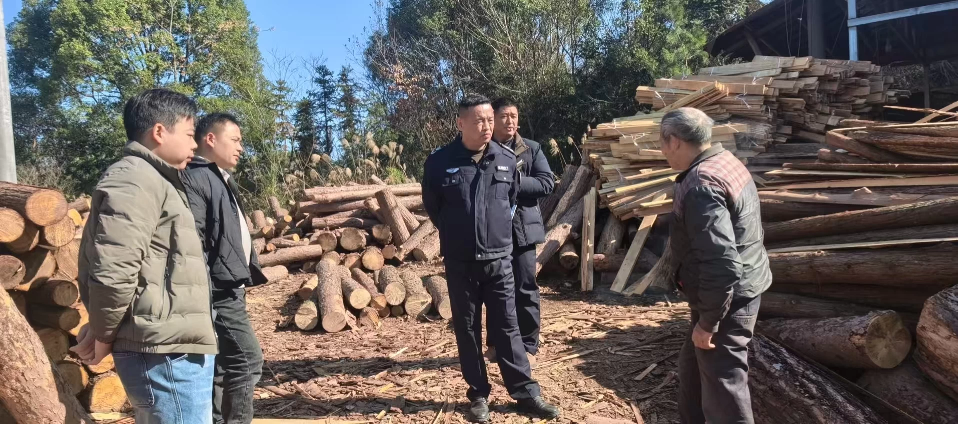 湖南省桃源县林业局开展专项执法 严厉打击非法疫木交易