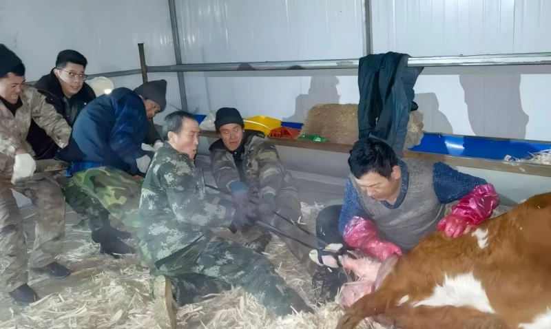 黑龙江省大兴安岭地区呼玛县公安局：深夜驰援解民忧 驻村帮扶暖人心