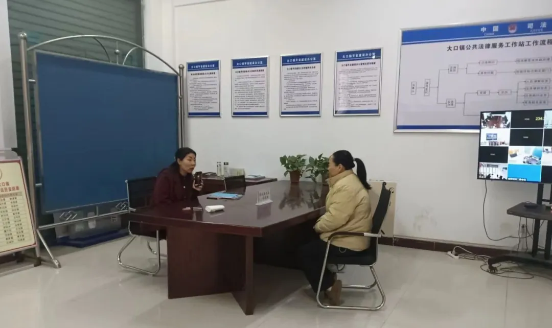 洛阳市偃师区大口镇人大： 用实干实绩书写了基层人大履职新篇章
