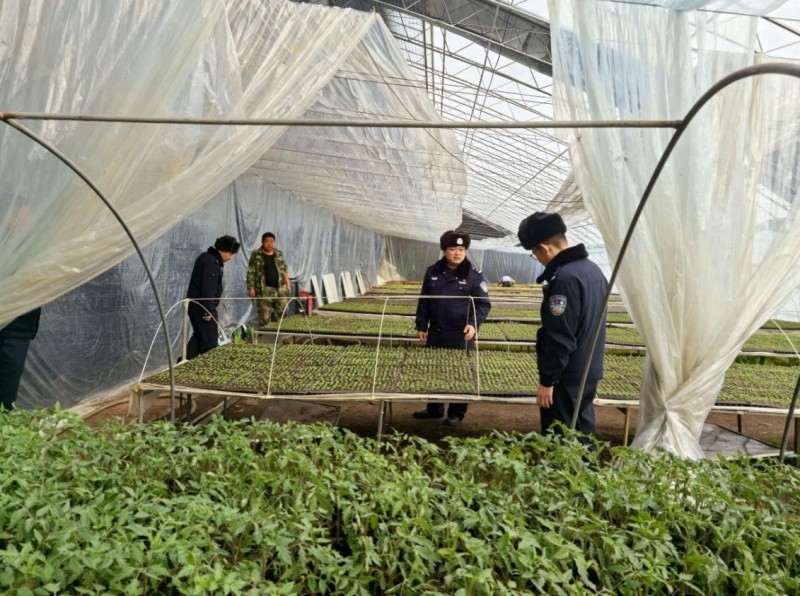 严打非法采贩黑土 守护林区黑土根基——黑龙江省林区公安局双鸭山分局环食药侦大队筑牢黑土地安全防线