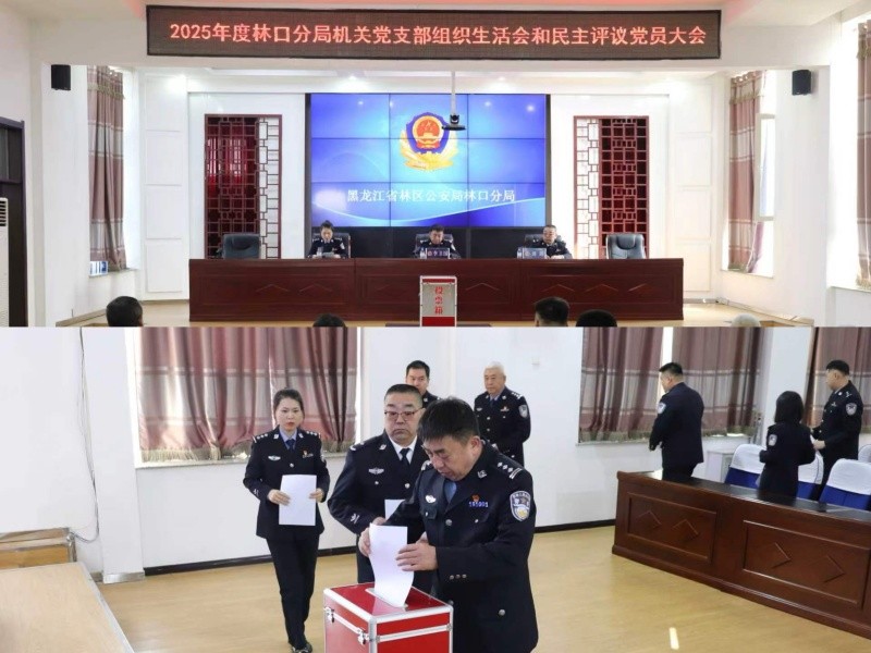 黑龙江省林区公安局林口分局高质量完成2025年度组织生活会和民主评议党员工作