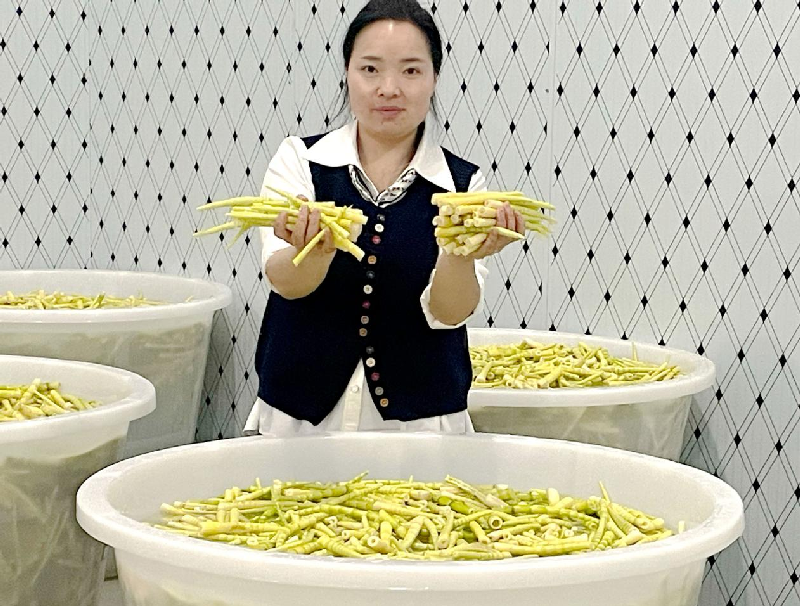 湖北恩施：深山寻竹 点“笋”成金