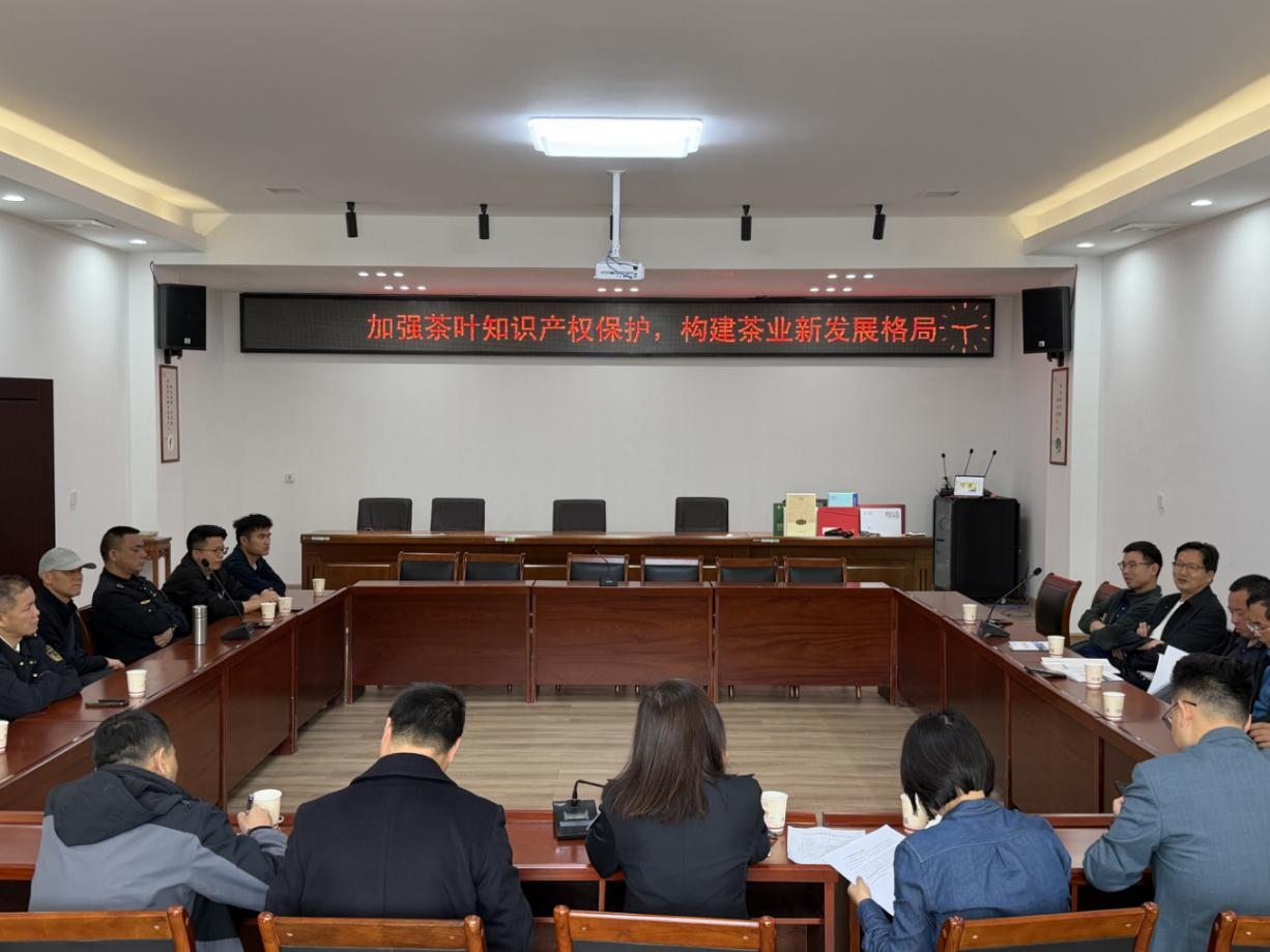 加强茶叶知识产权保护 构建茶业新发展格局——湖南桃源县知识产权宣传周活动走进茶企