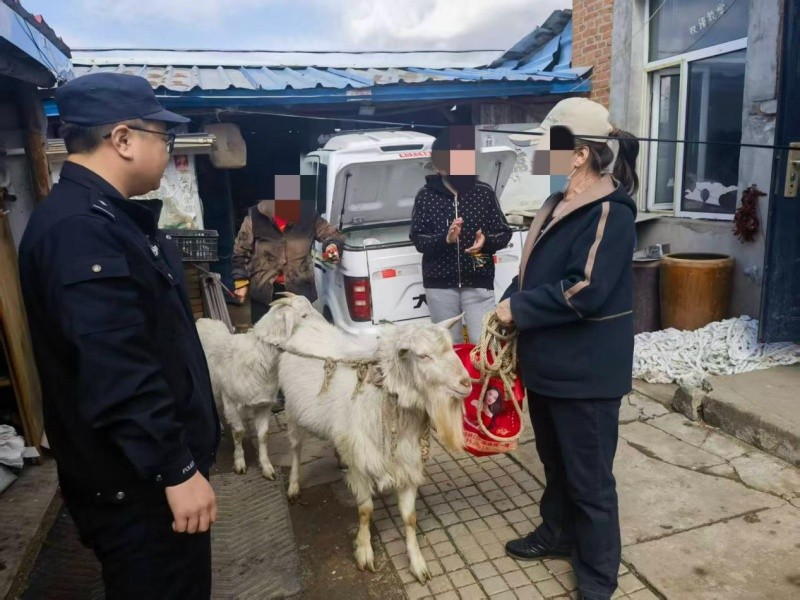 黑龙江省林区民警上演“寻羊记” 群众心里“暖洋洋”
