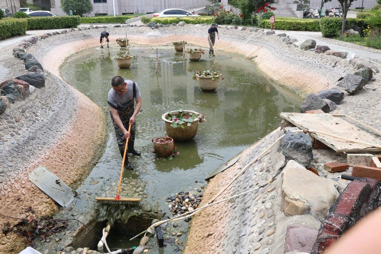 河南灵宝：清塘除淤去隐患 优化环境显担当