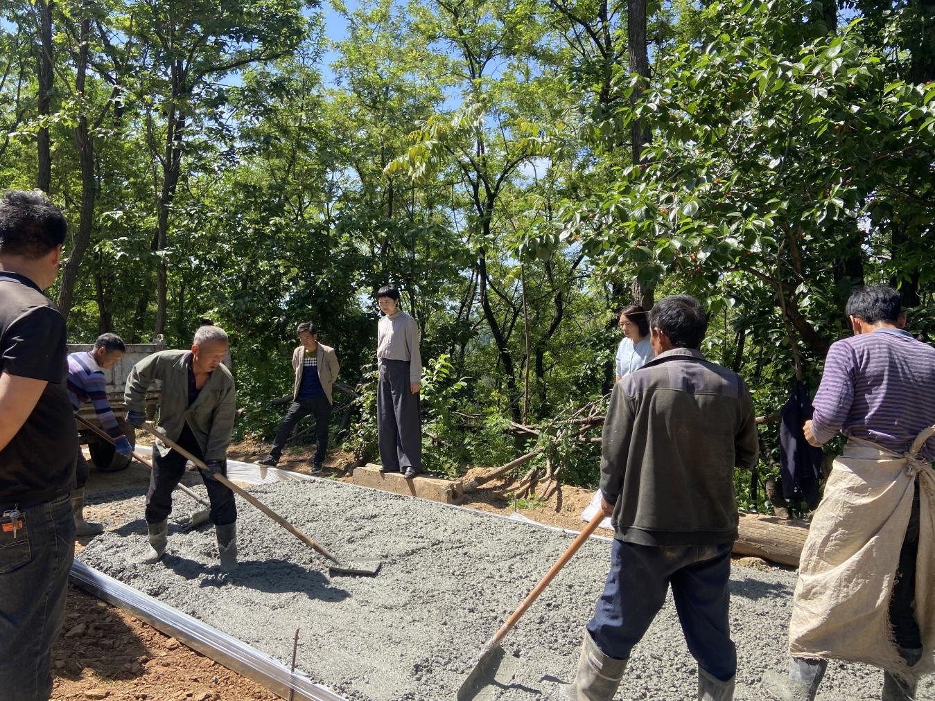 河南省洛宁县罗岭乡人大：全程监督街巷道路硬化 民生工程筑牢民心根基