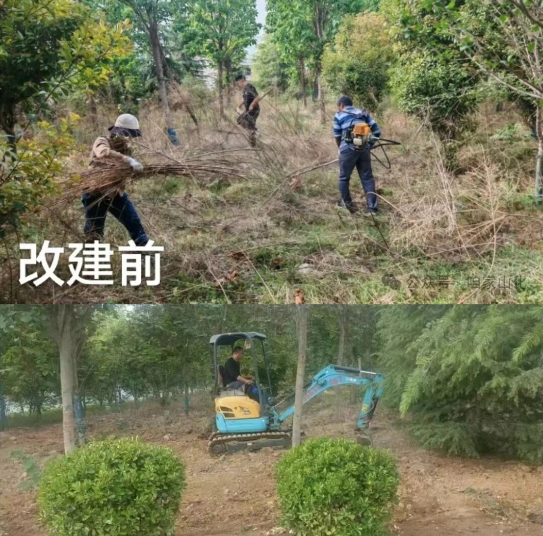 大河之畔的初心答卷——记河南省洛阳市偃师区人大代表刘晓华的履职实践与家风传承