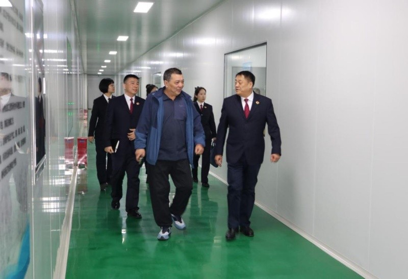 黑龙江省伊春市嘉荫县人民检察院：赋能边境经济 优化营商环境