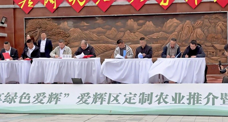 黑龙江省黑河市爱辉区：定制黑土优品 共享绿色爱辉
