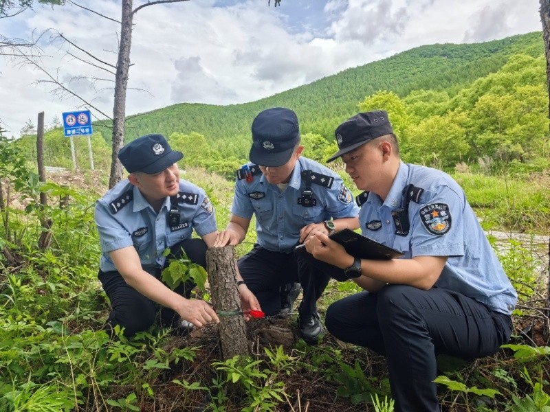 以“绿荫工程”为擎 锻造林区“硬核”铁军——黑龙江省林区公安局林口分局西北楞派出所多措并举锻造高素质青年公安队伍
