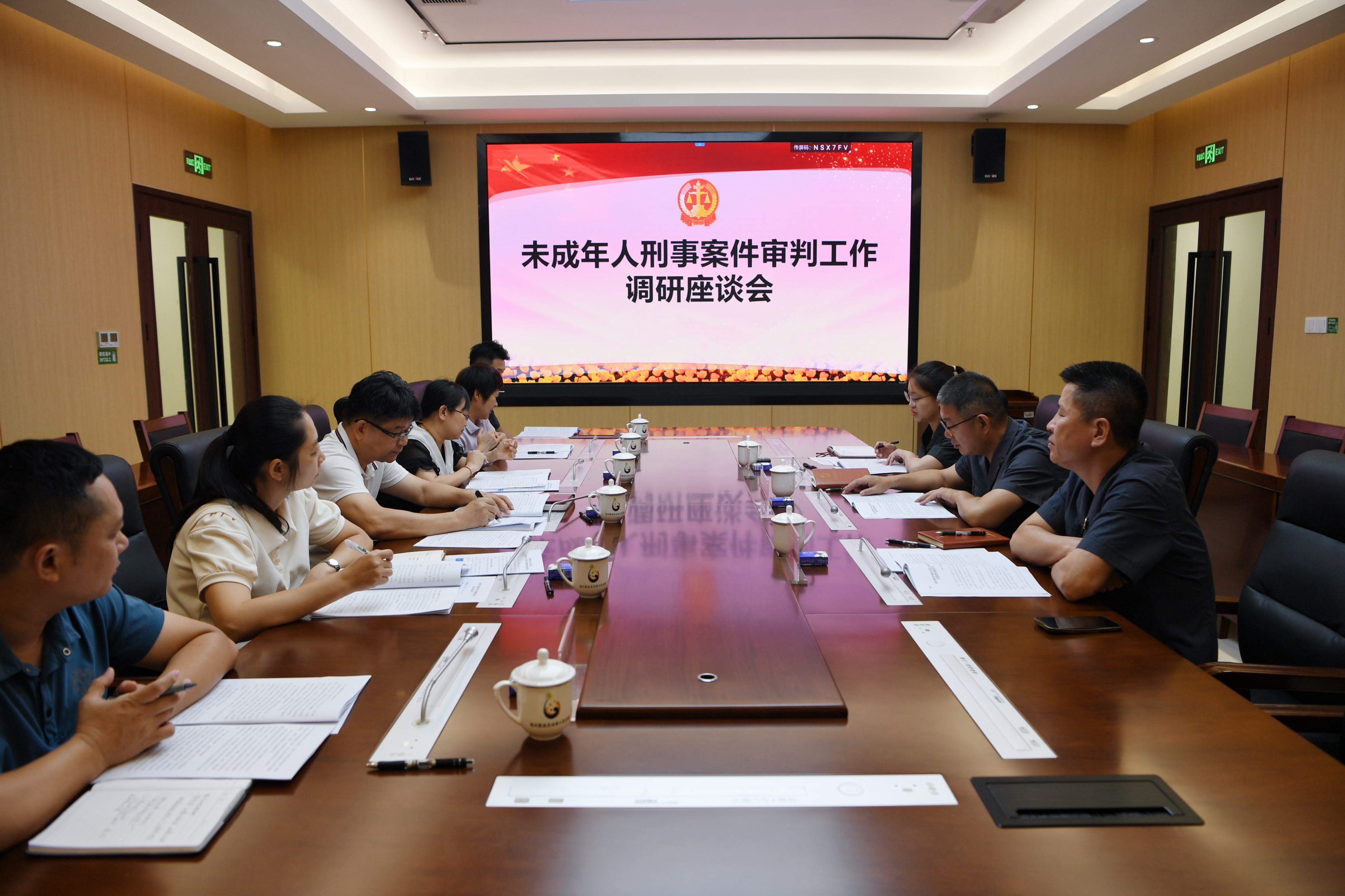 海南省陵水县人大常委会调研组深入陵水法院专题调研未成年人刑事案件审判工作