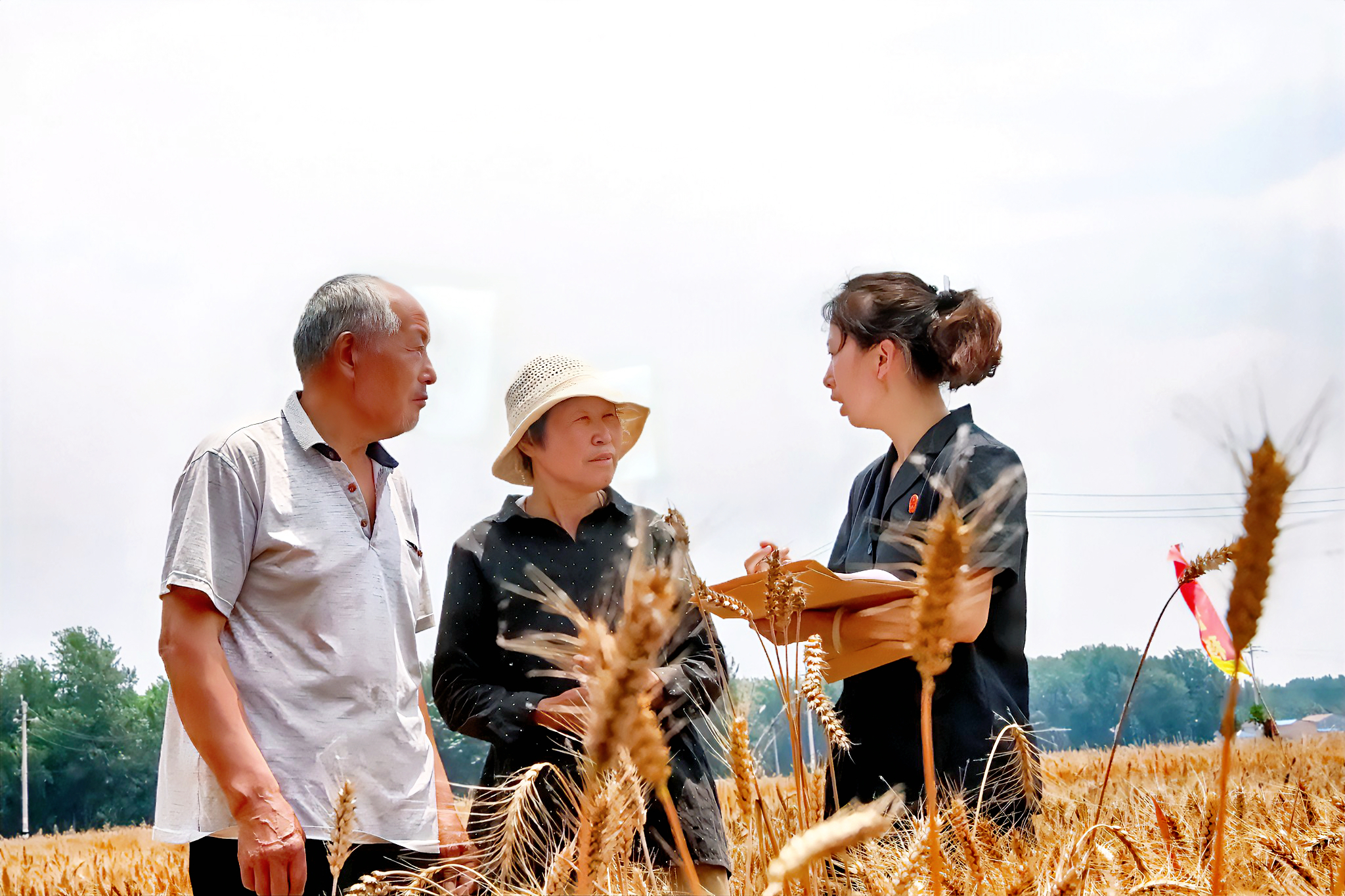 河南省商丘市梁园区人民法院： “三夏”农忙季，司法未“打烊”