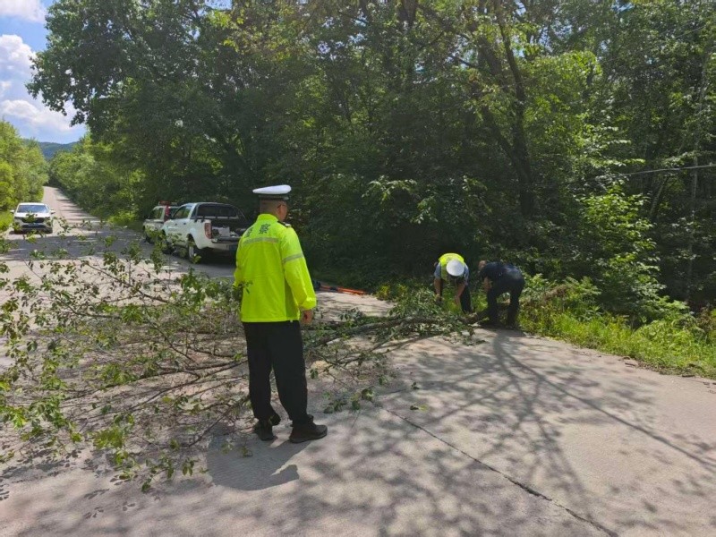 黑龙江省林区公安局海林分局交通管理大队联动海林市公路管理站筑牢林区道路安全防线