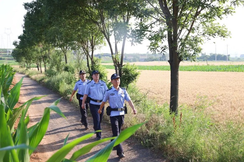 山西泽州公安：麦浪滚滚好“丰”景 希望田野“警”色美