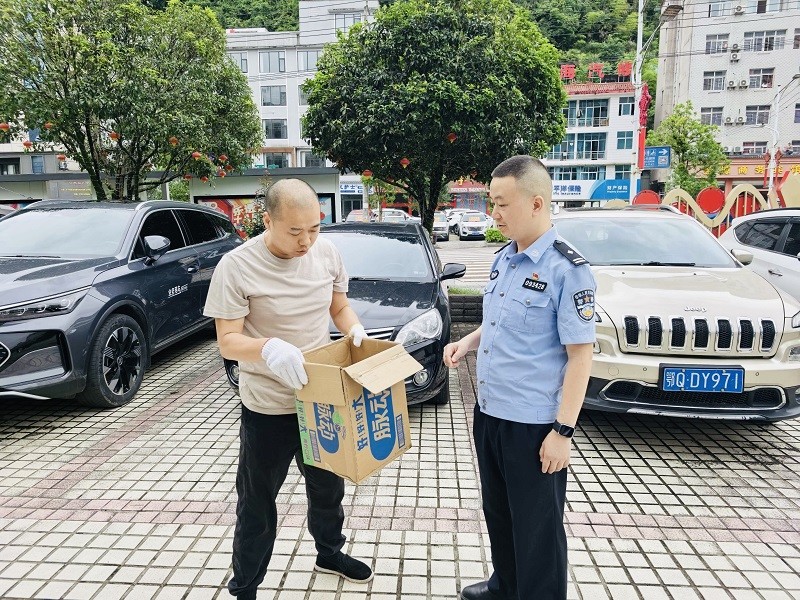 湖北鹤峰：萌鸮落公路  警民暖心接力守护“林间小精灵”