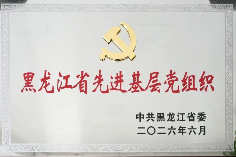 黑龙江省黑河市公安局政治部党支部被授予“黑龙江省先进基层党组织”称号