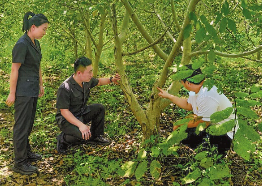 陕西华阴市：现场勘验理纠纷